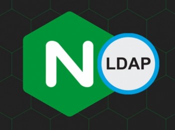 NGINX chia sẻ các biện pháp giảm thiểu lỗi 0-day ảnh hưởng đến việc triển khai LDAP
