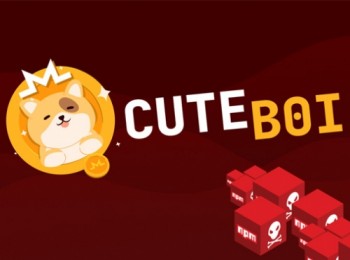 Hơn 1200 gói  Node Package Manager (NPM) giả mạo được tìm thấy trong chiến dịch khai thác tiền mã hóa "CuteBoi".